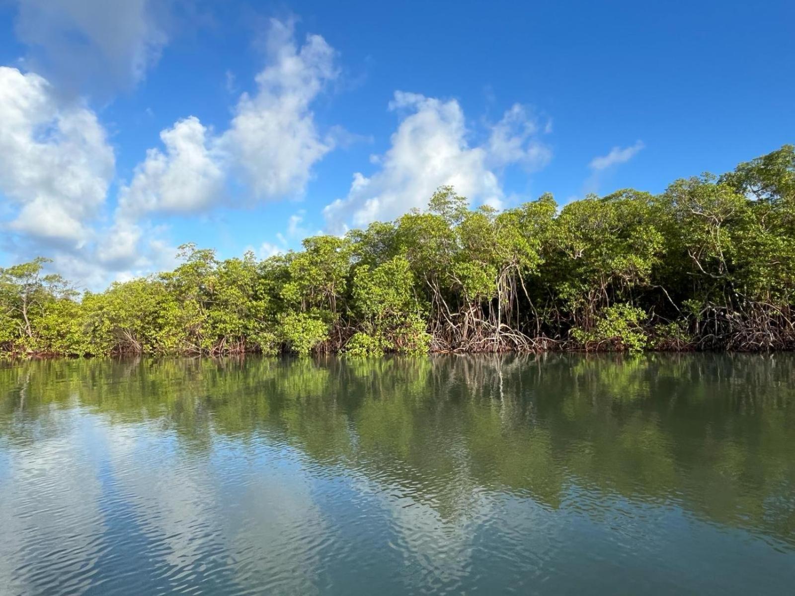 Ecolodge Batel Alagoas Корурипи Екстериор снимка